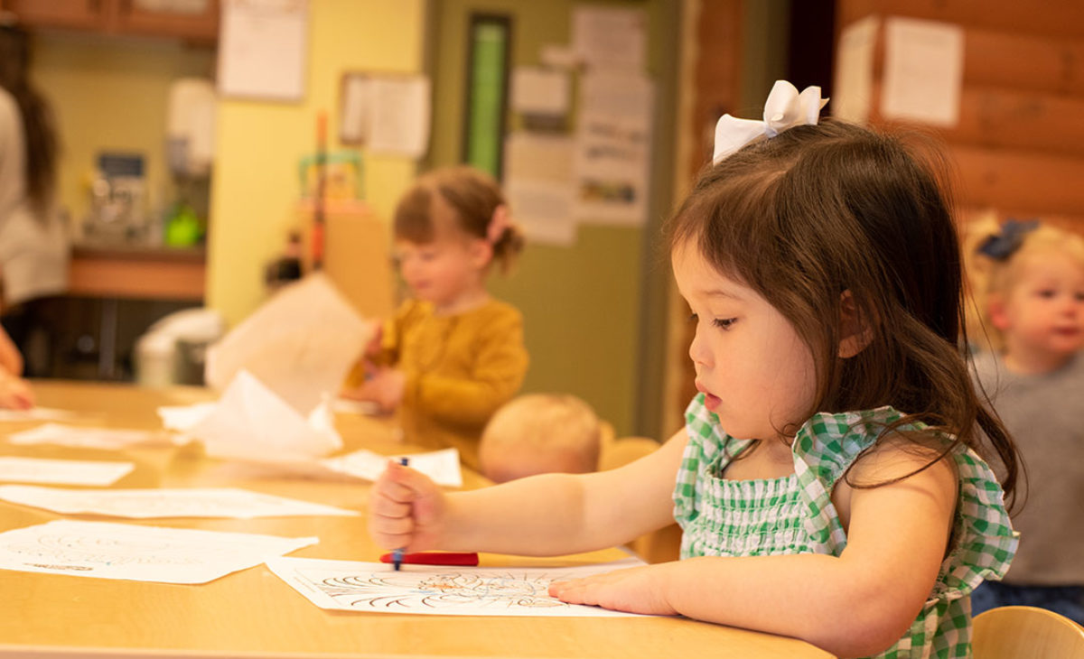 Toddler girl drawing with crayons