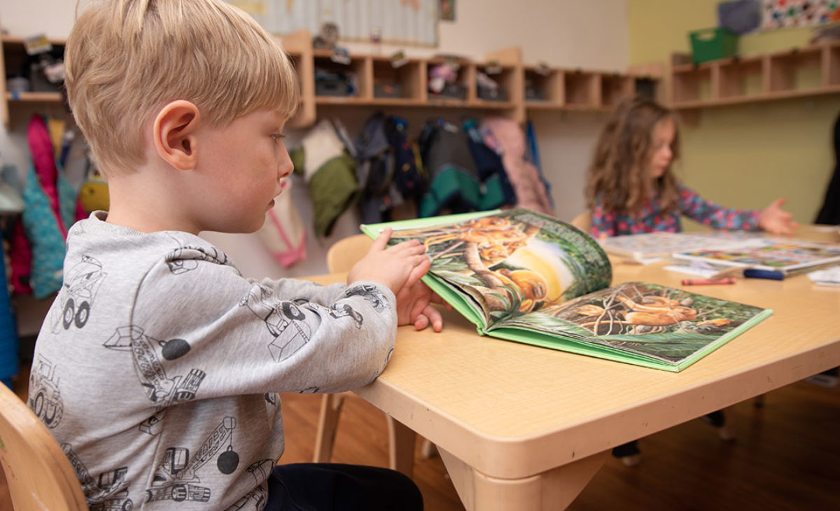 Toddler boy reading a picture book at desk